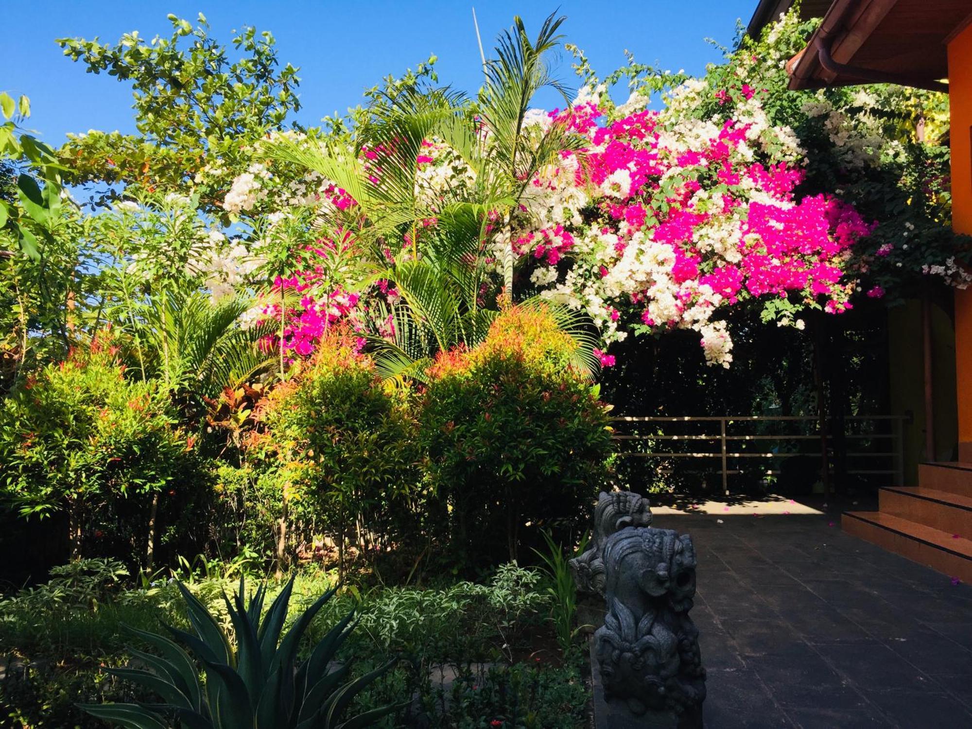 Villa Ma'Rasai Ternate Dış mekan fotoğraf